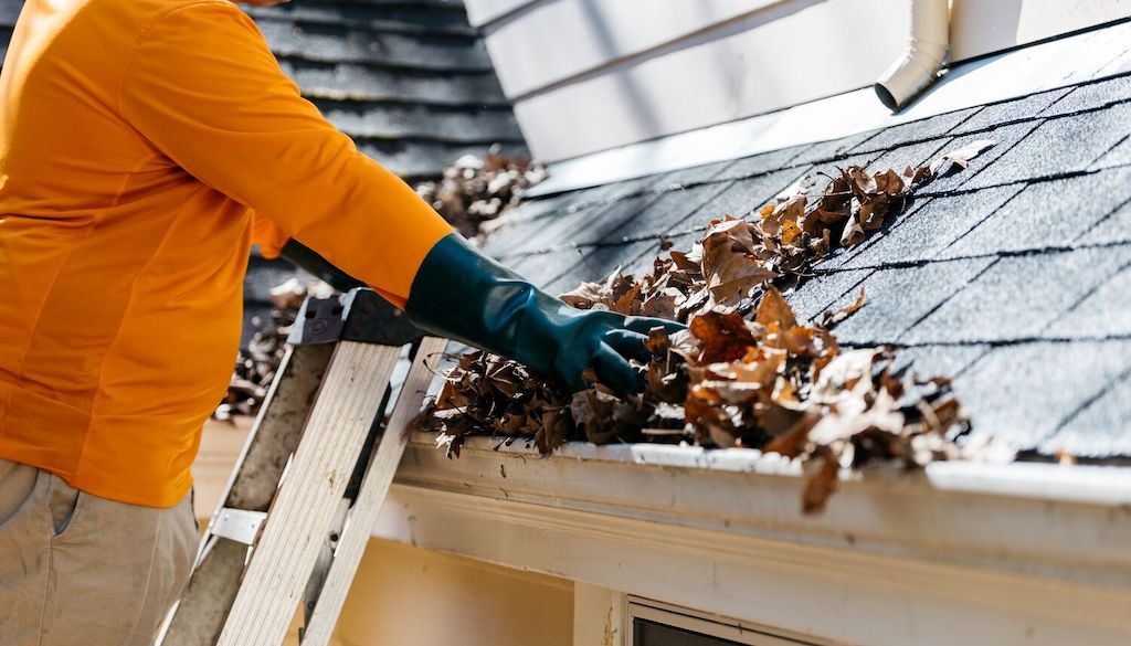 Worker clearing dry leaves from a home's gutter.