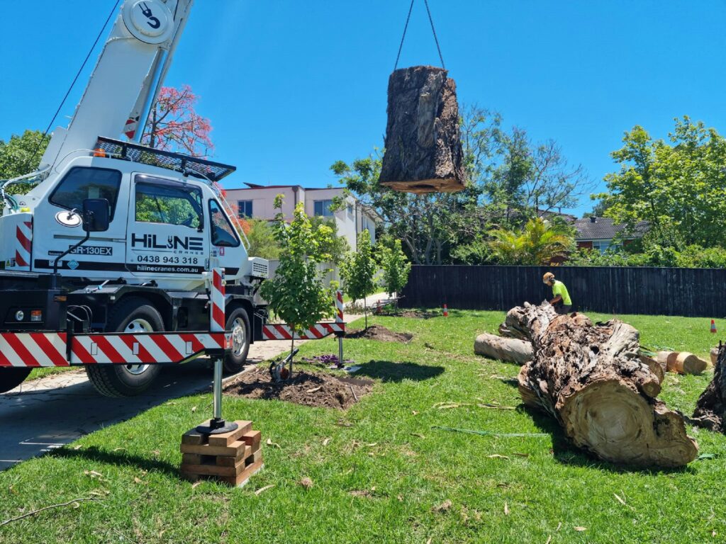 Crane lifting a large tree trunk while a worker cuts another on the ground.